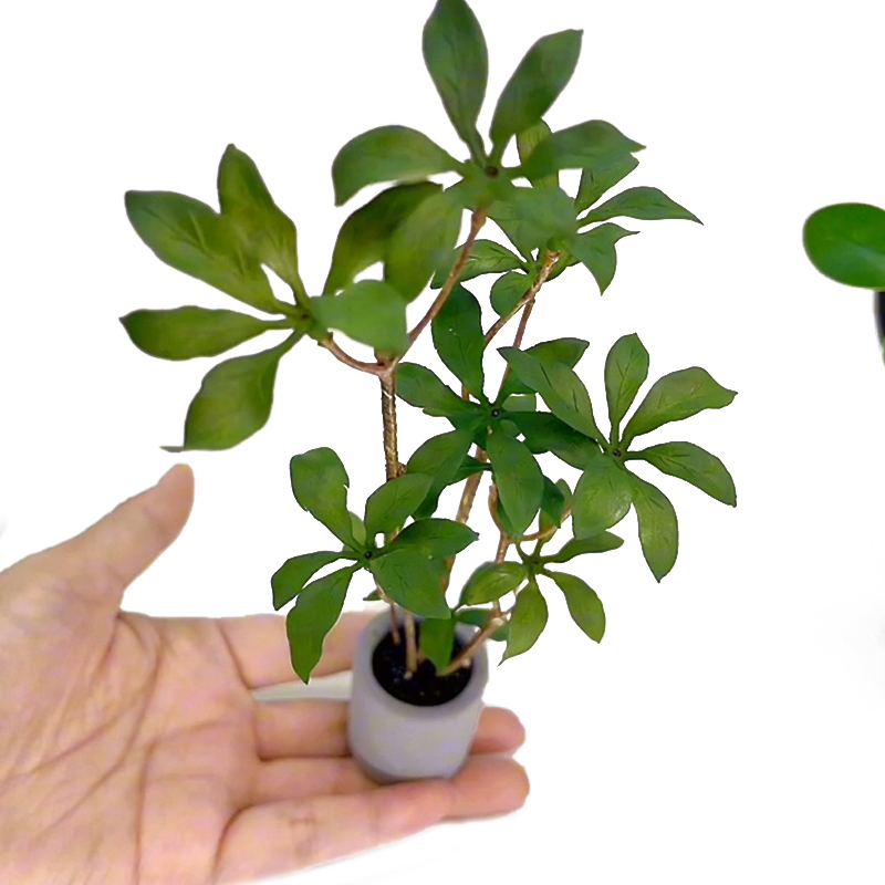 Bonsai Garden Ornaments - ドールハウスミニチュア鉢植えモデル、緑の葉、植木鉢、盆栽、家の庭の装飾、おもちゃの人形、家のアクセサリー、1:6
