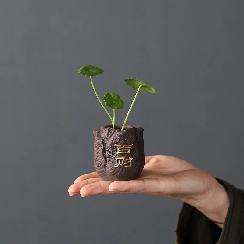 クリエイティブな紫色の粘土のお茶のペット,指紋のミニポット, - Bonsai Garden Ornaments のレビューと価格