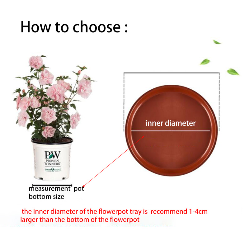 10 個プラスチック植木鉢トレイベース植物受け皿ラウンドドリ - Drip Tray Saucer のレビューと価格