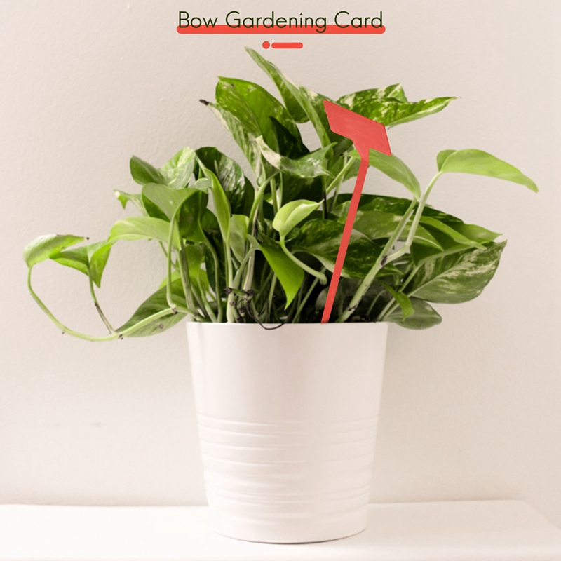 ABYP ガーデン植栽ツール 50 個盆栽プラスチック植物ラ - Bonsai Garden Nursery のレビューと価格