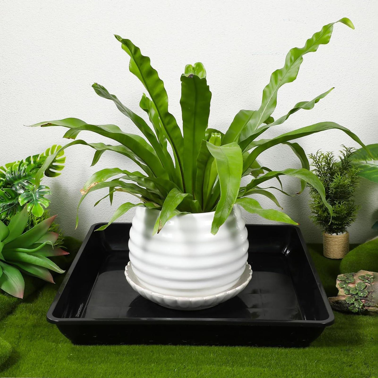 植木鉢トレイ 2個/セット ガーデンスクエアドリップトレイ  - Drip Tray Saucer のレビューと価格