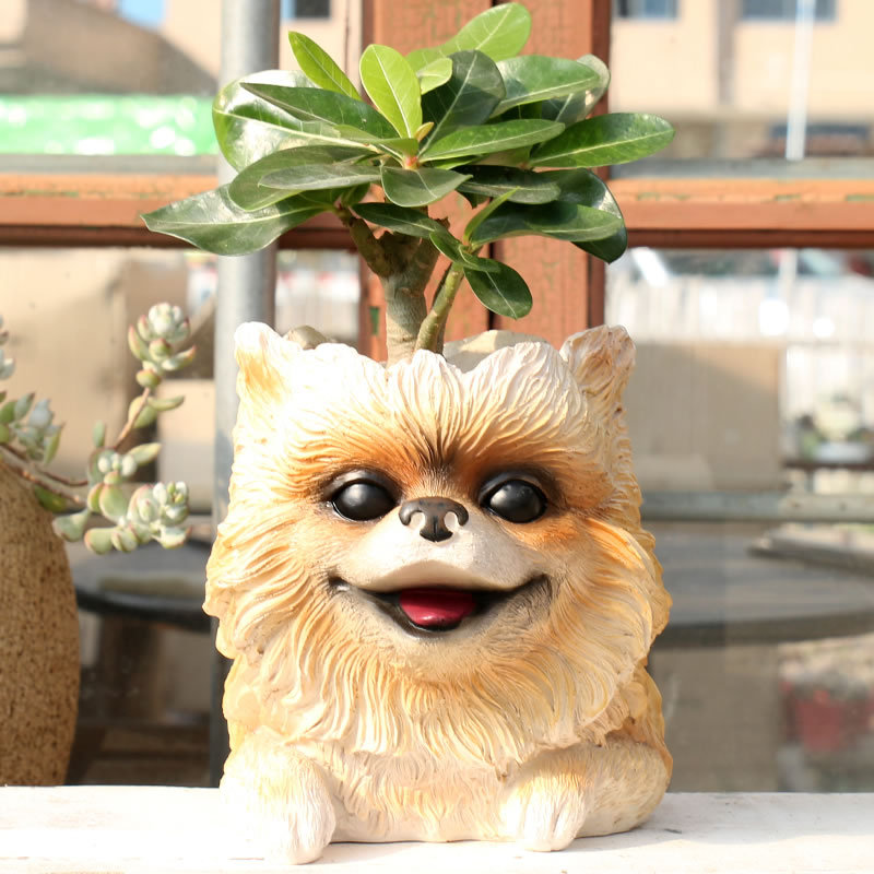 動物の頭の置物,プランター,かわいい多肉植物,樹脂植木鉢,庭 - Bonsai Garden Nursery のレビューと価格