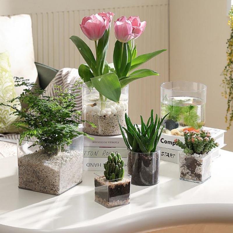 正方形/円形透明アクリル花苗ポット盆栽植木鉢デスクトップ装飾 - Bonsai Garden Nursery のレビューと価格
