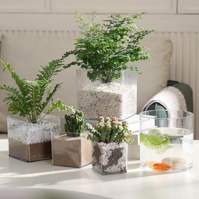 正方形丸型透明アクリル植木鉢盆栽フラワーナーサリーポットデス - Bonsai Garden Nursery のレビューと価格