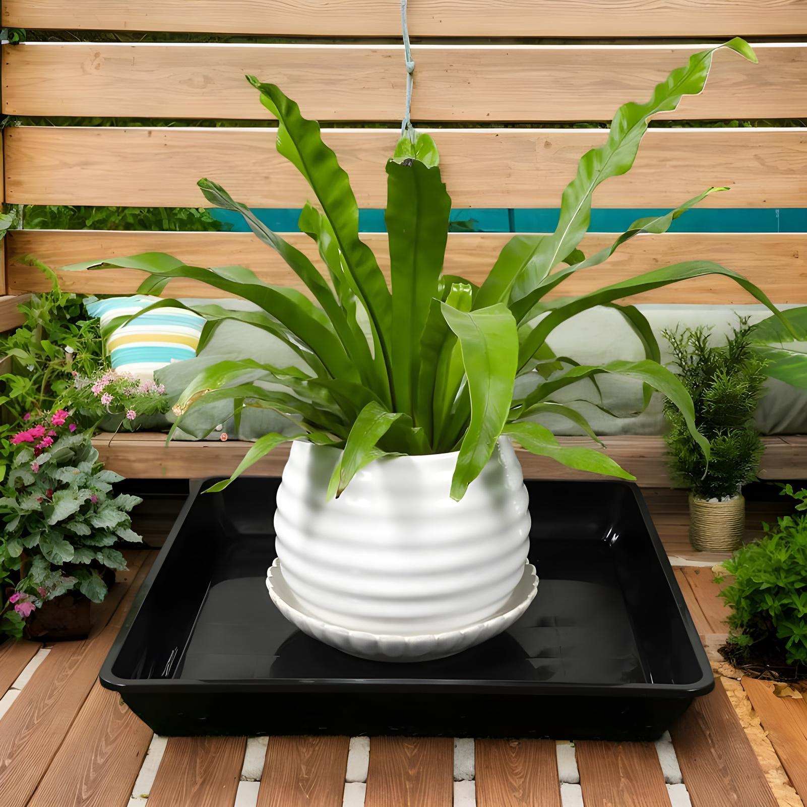 ポット用プラントトレイ 2個入り 正方形プランター ドリップ - Drip Tray Saucer のレビューと価格