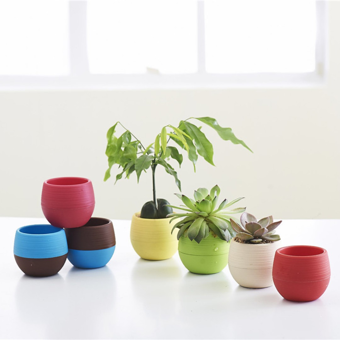 ガーデニングミニプラスチックフラワーポット保育園ポット、ホー - Bonsai Garden Nursery のレビューと価格